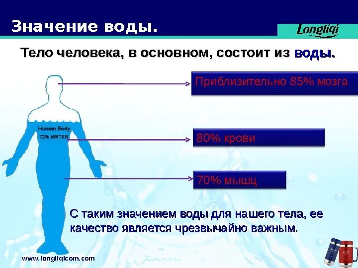 Работа в организме человека физика 7. Тело человека состоит. вода в организме. организм человека состоит из. тело человека состоит из воды.