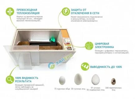 Блиц норма инструкция