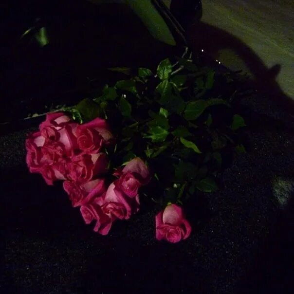 Букет роз ночью. Цветы в машине. Букет в машине ночью. Розы в машине ночью. Цветы букет в машине ночью.