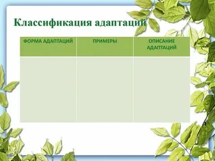 Таблица адаптации 11 класс