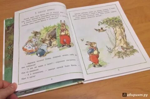 Лесные истории отзывы