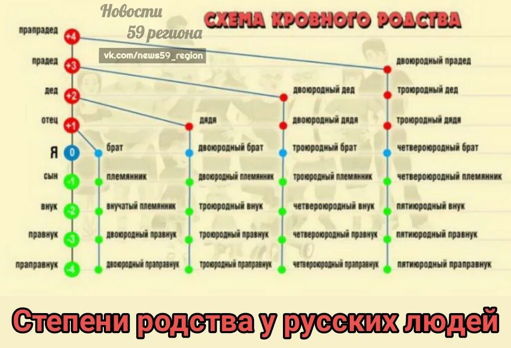 Год родственные связи. Схема кровного родства. Схема родства двоюродные троюродные. Степени родства у русских. Троюродный брат схема родства.