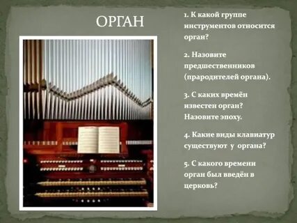 Орган какой вид инструмента