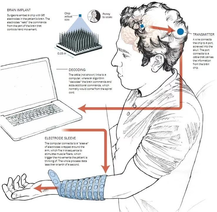 Покажи как управлять. Мозг компьютера обработка информации. человек управляет компьютером при помощи мозга. как управлять мозгом. мозг принимает информацию как компьютер.