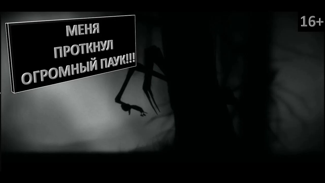 Жизнь полную опасности. Мир полон опасностей. Какттнка мир полон опасностей.