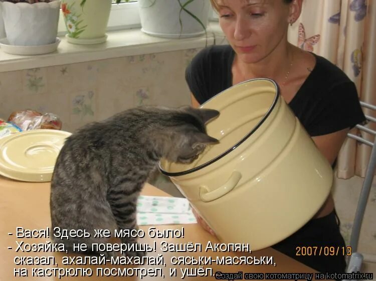 Не надо было это кушать. Кот Хозяюшка. Кот и хозяйка. Кот и хозяйка прикол. Хозяйка жрать давай.