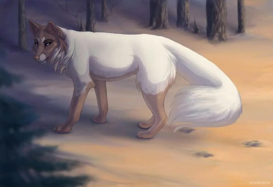 Лисы воители. Лисичка коты воители. Лис воитель. Коты воители белка арт. Finchwing коты воители.