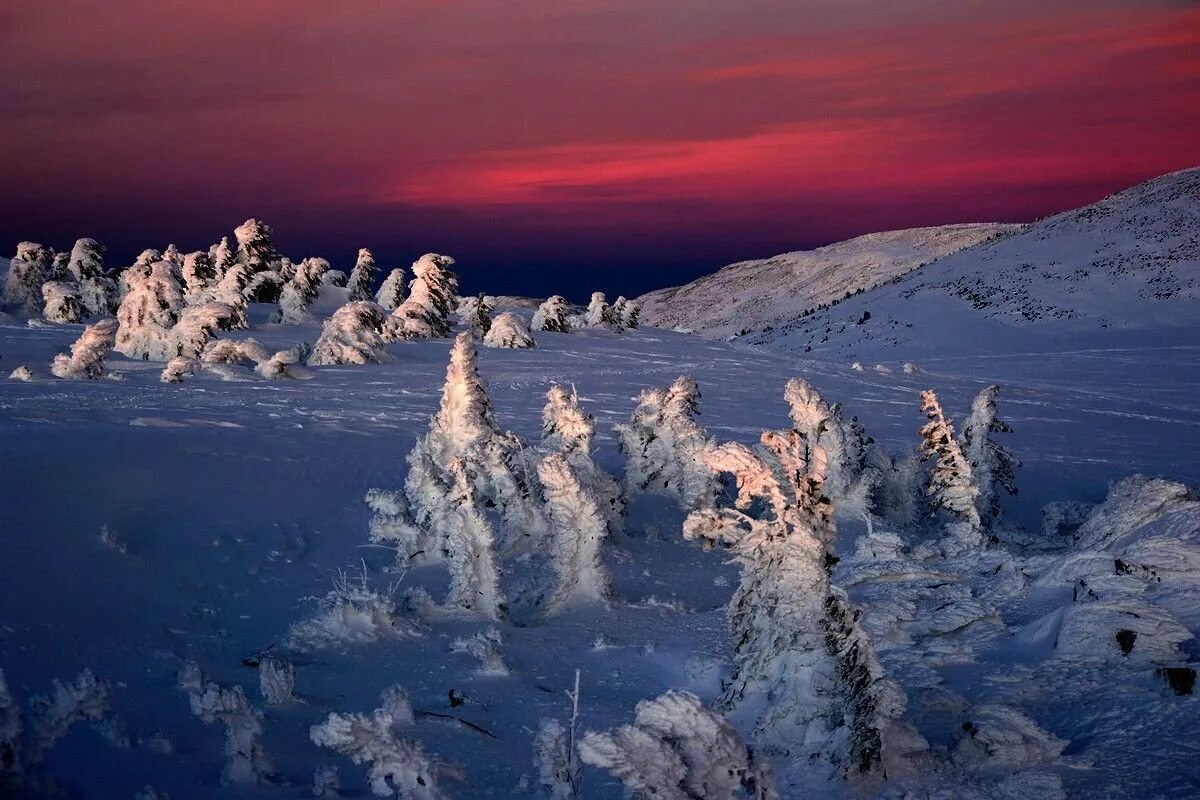 Якутия тюмень. Зимняя природа. Северная природа. Красота зимы. Зима в Сибири.