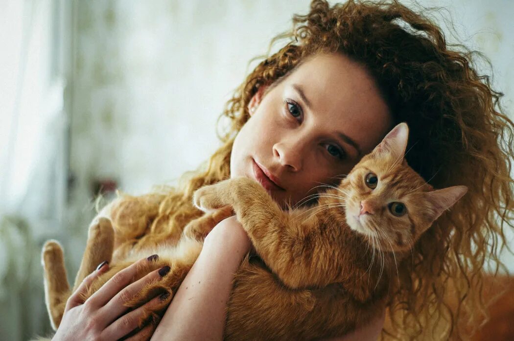 Kitty c. Kitty c