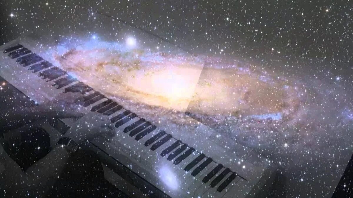 Piano pc simulator (2014). кот играет на синтезаторе. музыкальный кот. музыкальный кот. музыкальные коты.