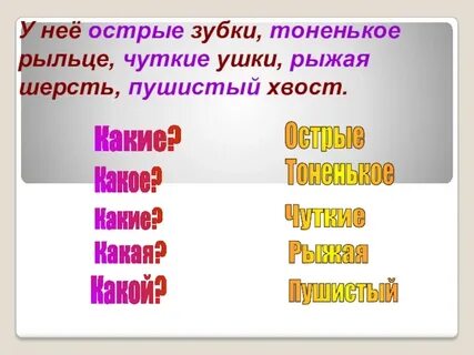 Шерсть прилагательное