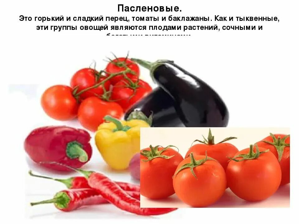 Паслёновые овощи и фрукты. Пасленовые продукты список. Овощные Пасленовые томат. Овощные Паслёновые баклажан и перец.