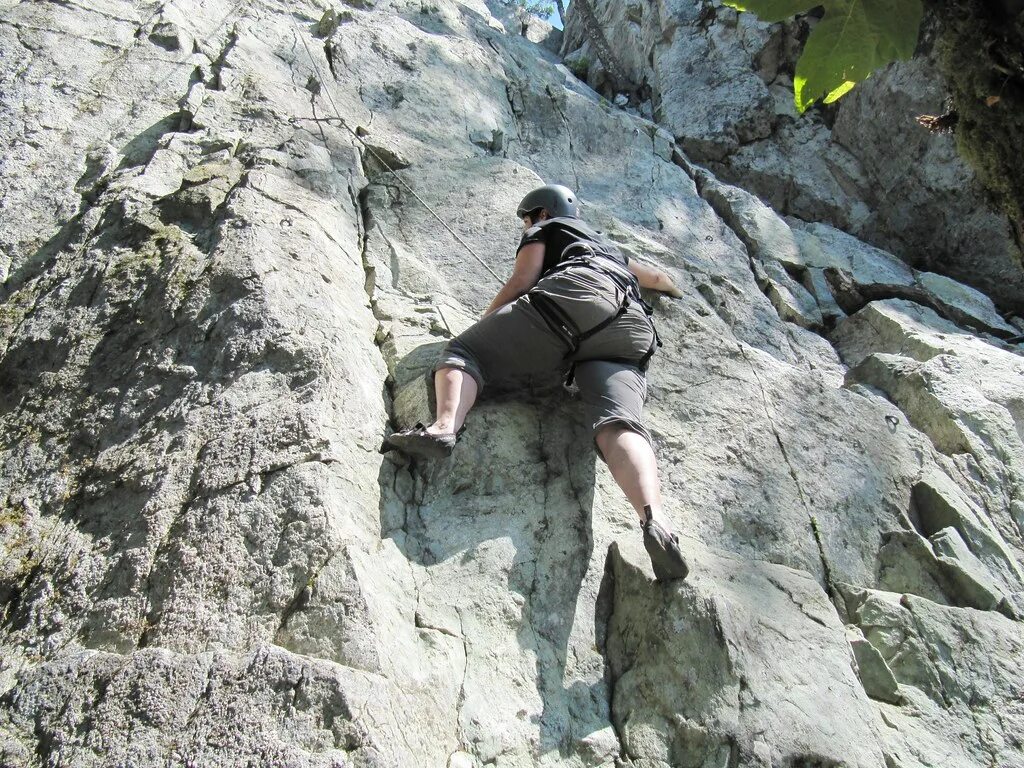 Mountaineering Rock Climbing разница. Alta Lake Squamish Tree Climbing. Organization of reference points in Mountaineering on Rocks. Rock climber rock climber org ru