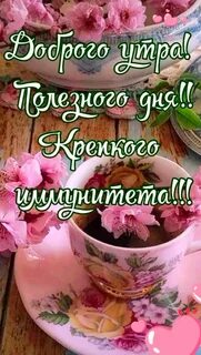 Здорово утро счастливого утра