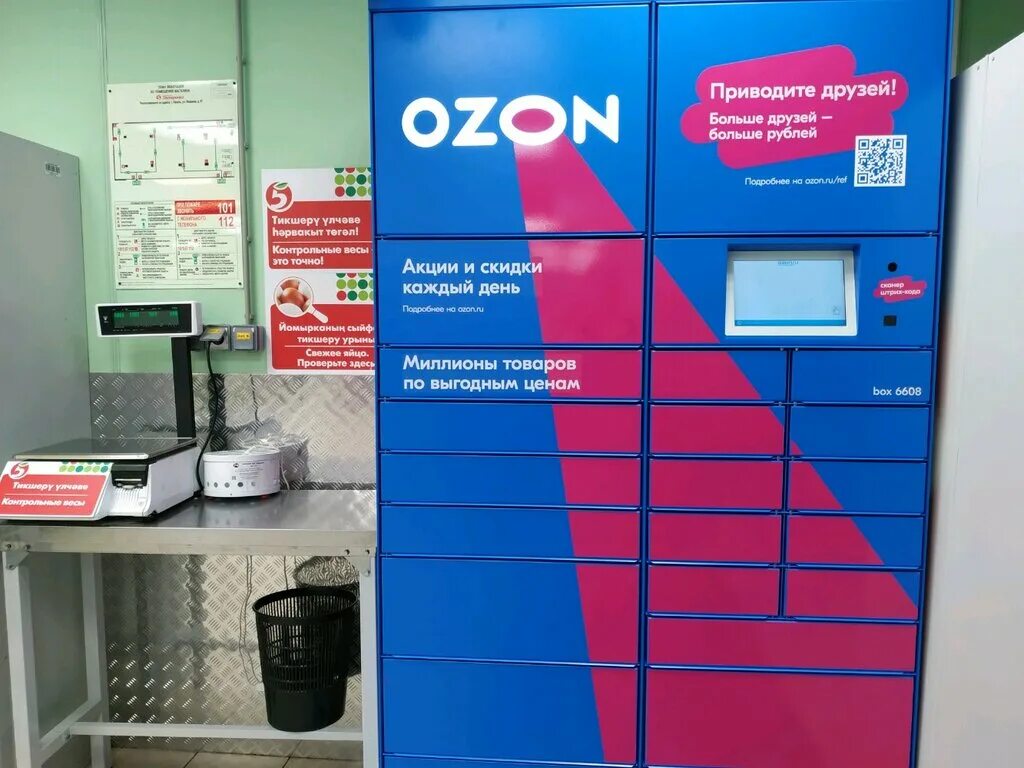 Как оценить пункт выдачи озон. Озон интернет-магазин. Озон терминал выдачи. OZON Россия. Озон интернет-магазин Казань.