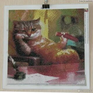 Как называется хобби кошки
