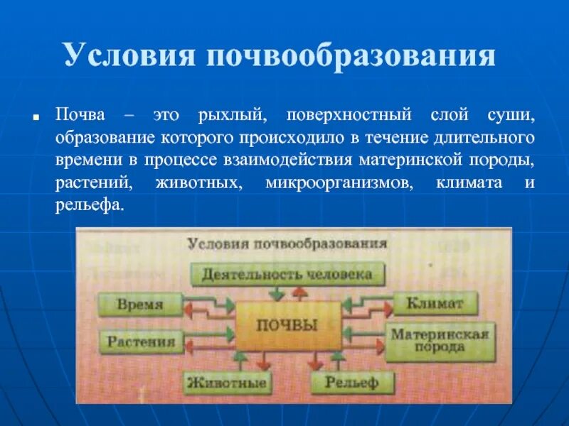 Условия ПОСВО образования. Условия почвообразования. Условия почвообразования почв. Условия формирования почв.