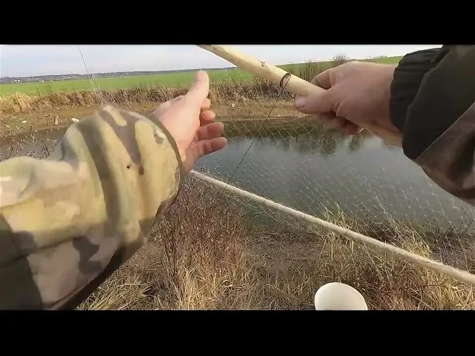 Ловля телевизором в беларуси. Ловля телевизором в беларуси. Ловля телевизором в беларуси. Телевизор фишинг. Ловля телевизором в беларуси.