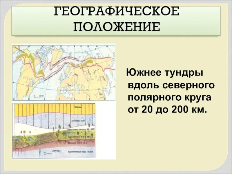 Географическое положение тундры. Зона тундры и лесотундры географическое положение. Тундра и лесотундра географическое положение. Географическое положение тундры в градусах.