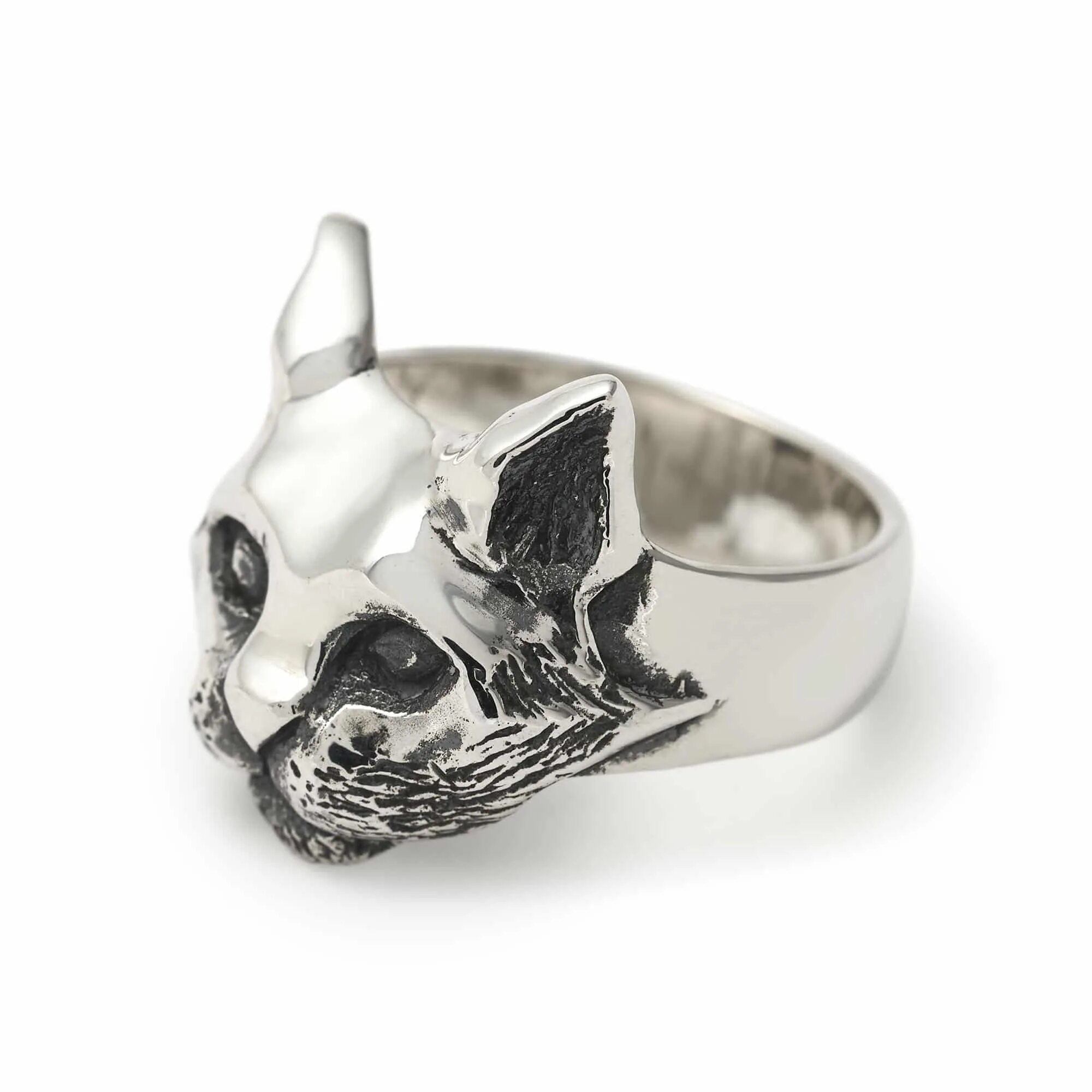 Кольцо кошка серебро. Кольцо серебряной кошки. Кольцо в виде котика. Кольцо серебряной кошки. Кольцо серебряной кошки dark souls 3.