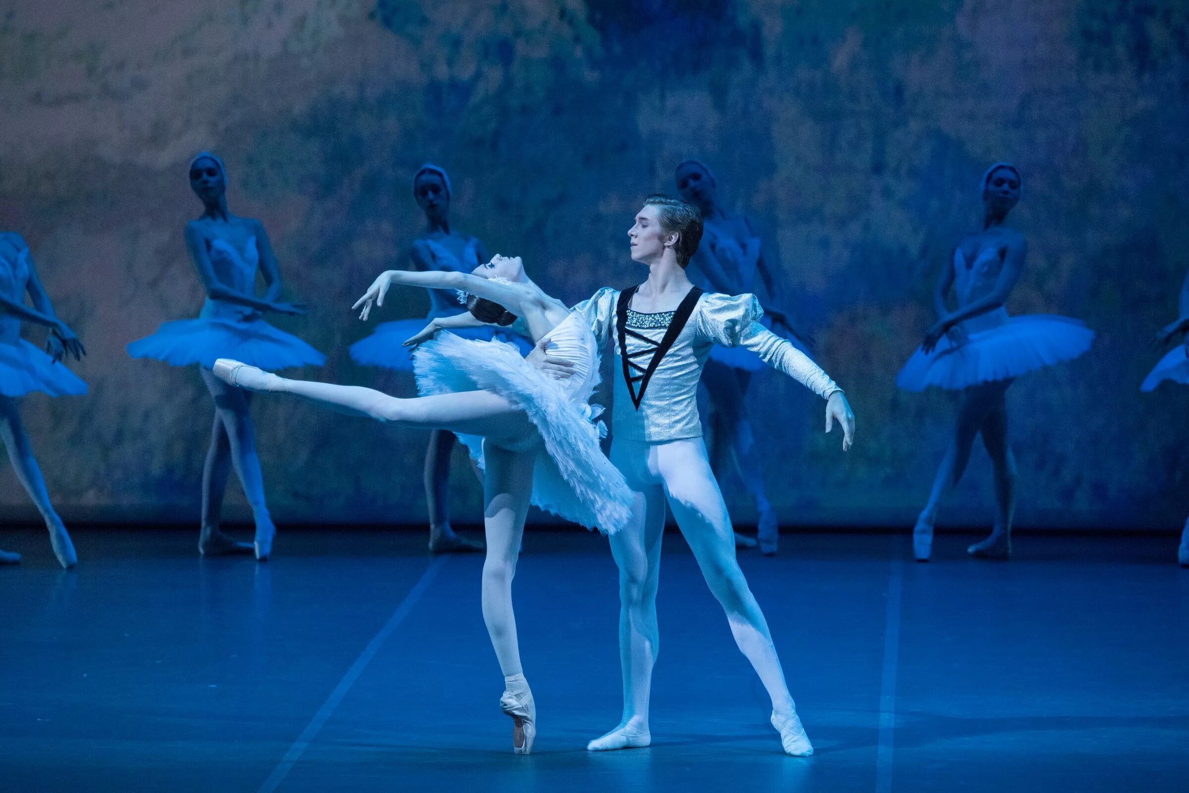 па де де из балета лебединое. па де де лебединое озеро. падеде из балета лебединое озеро. родькин лебединое озеро. па де де из балета лебединое.