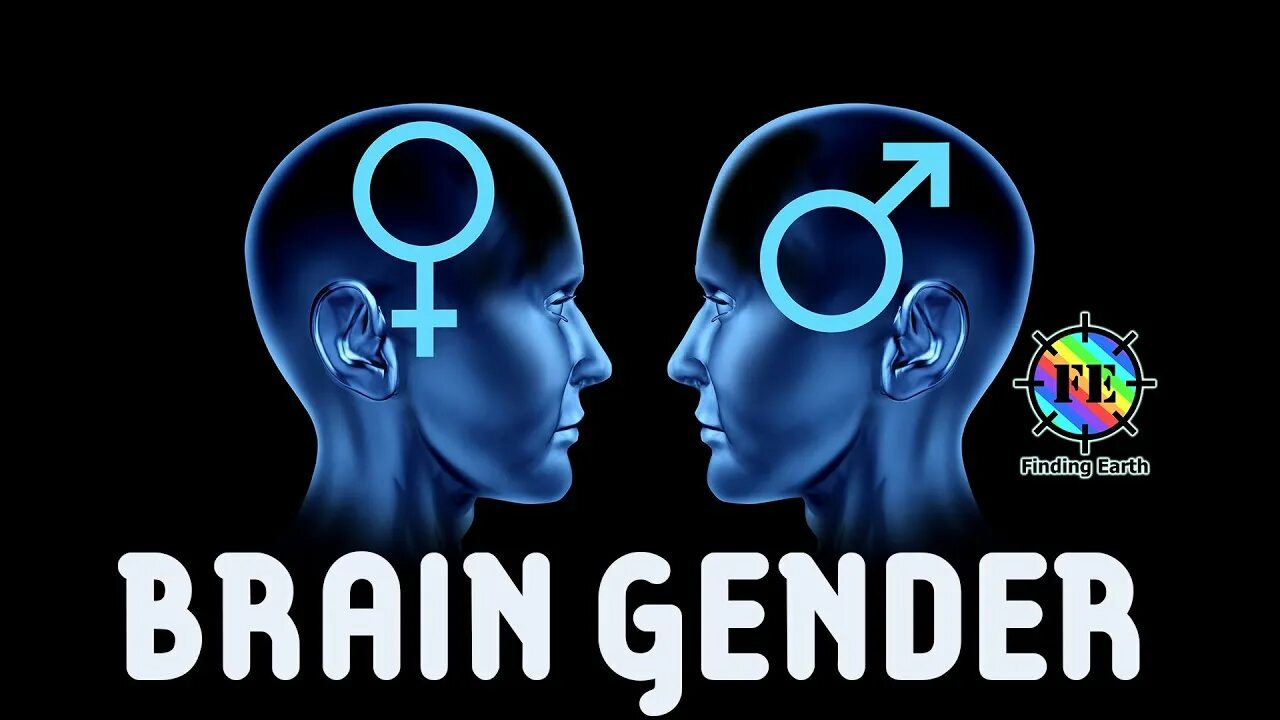 Brain vs brain. Один мозг на двоих. The Gendered Brain. Мозг и время. Male Brain, female Brain..