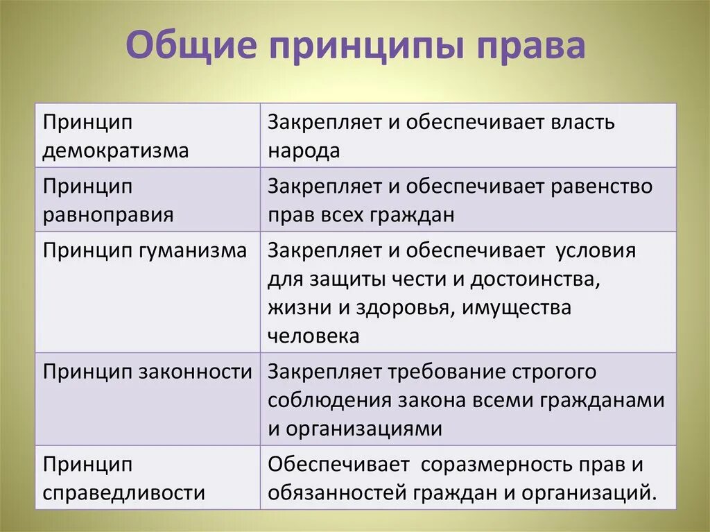 Какие общеправовые принципы