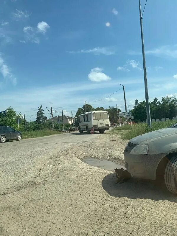 северская краснодарский край население. погода в северске. погода в северской. погода северская. погода северском районе на неделю.