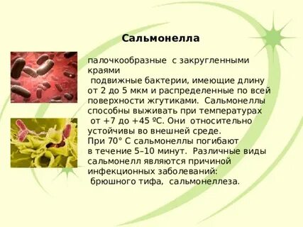 Что значит сальмонелла