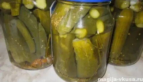 Маринованные огурцы закатывать