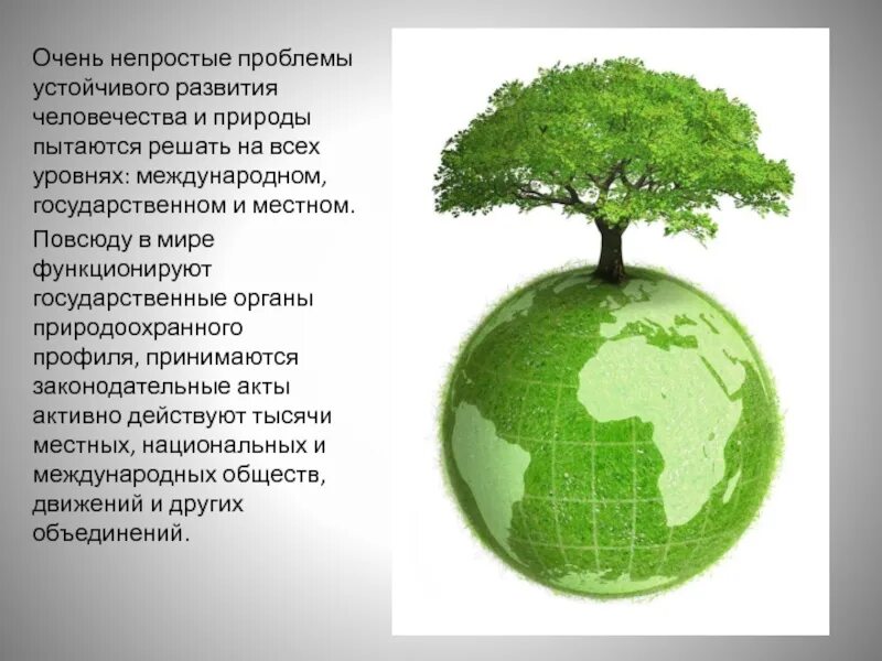 Благоприятная окружающая среда презентация. Право на благоприятную окружающую среду. Благоприятная окружающая среда презентация. Благоприятная окружающая среда презентация. Право на благоприятную окружающую среду.