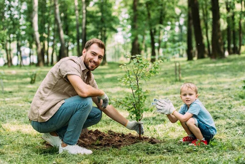 Семьи посадили деревья. Родители с детьми на природе. Папа и сын сажают дерево. Мужчина сажает дерево. Ребенок с папой сажает дерево.