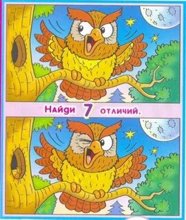 Найди отличия птицы