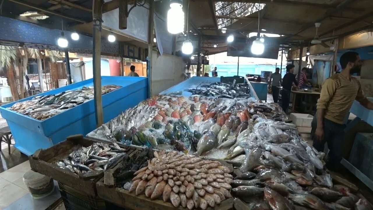 Ухань китай рыбный рынок. Рыбный рынок оаэ. Паттайя рынок морепродуктов. Рыбный рынок батуми. Видео рыбных рынков.