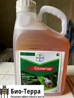 Солигор фунгицид