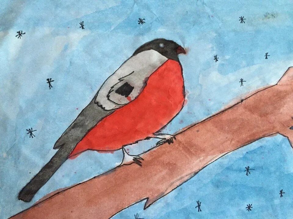 Рисование зимующие птицы. Рисование птицы зимой. Рисование снегиря. Зимующие птицы рисунок. Снегири легко