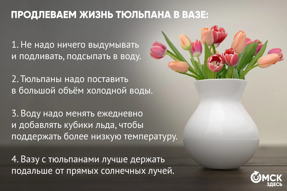 Тюльпаны ставить в холодную или теплую воду. Тюльпаны растут в вазе. Тюльпаны поставят в вазу. Как стоят тюльпаны в вазе.