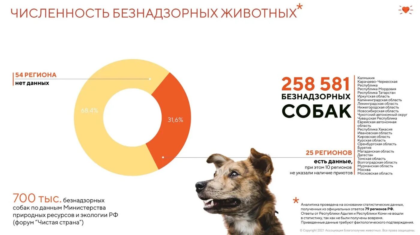 Сколько бездомных животных. Статистика бездомных собак в россии. статистика бездомных животных в россии 2025. бездомные животные статистика в россии. численность безнадзорных животных в россии.