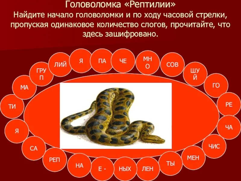 Загадки про пресмыкающихся. Головоломки с ответами по биологии. Вопросы про рептилий. Загадки на тему пресмыкающиеся. Кроссворд земноводные биология