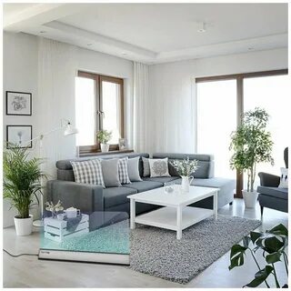 Gray plus