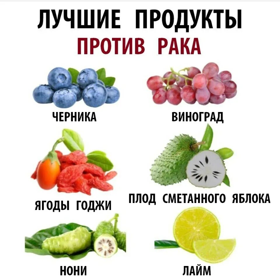 Антираковая тарелка для онкологических. Продукты против онкологических заболеваний. Антираковые продукты. Антираковая тарелка защитники от онкологии. Продукты полезные при онкологических заболеваниях.