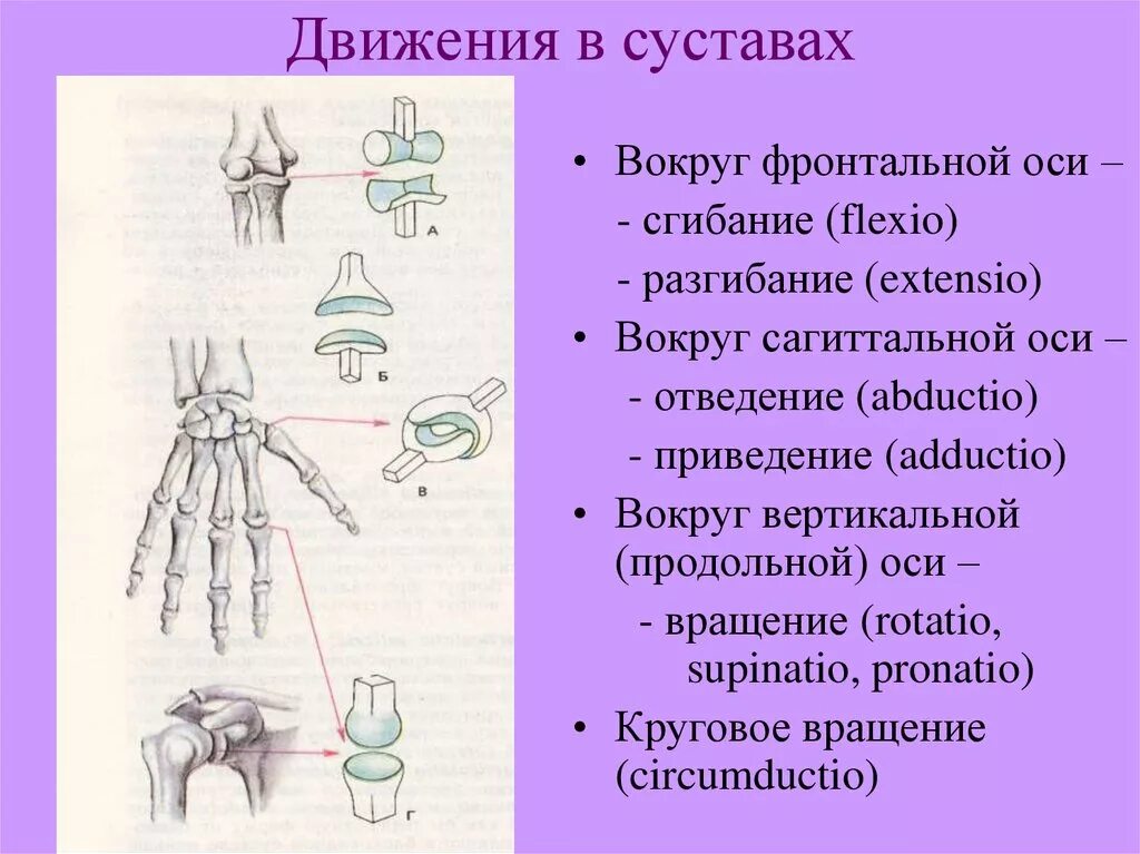 В каких плоскостях происходит движение
