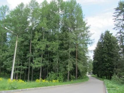 Погода хвойный спб