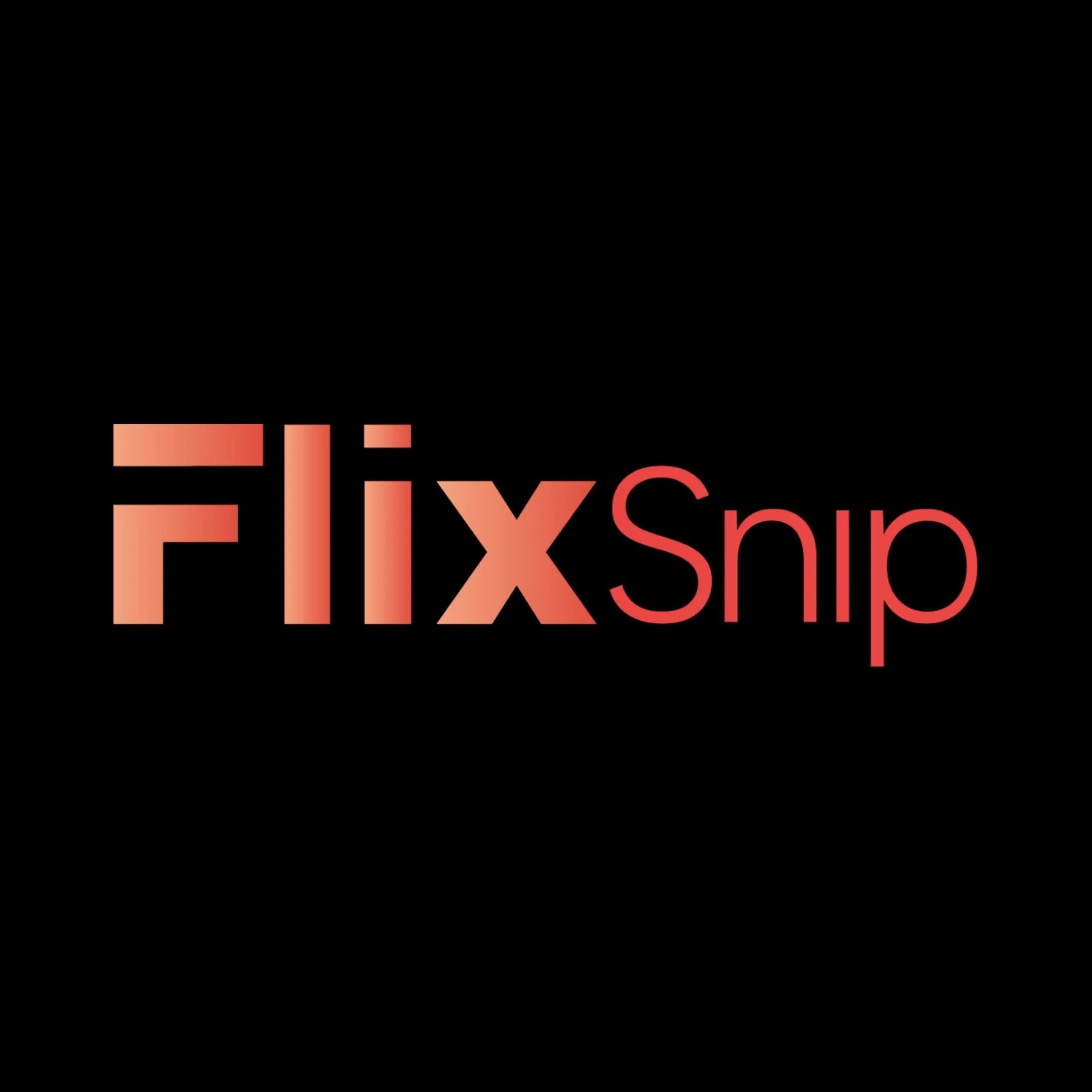 Z flix. Flix Snip Телеканал. FLIXSNIP logo. FLIXSNIP канал программа.