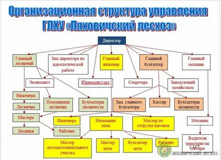 Лесничество по составу