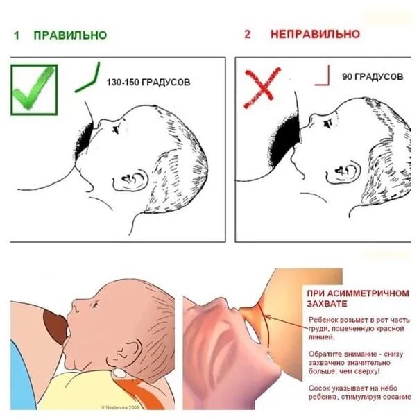 Асимметричный захват при грудном вскармливании. Техника прикладывания ребенка при грудном вскармливании. Правильное и неправильное прикладывание к груди. Прикладывание ребенка к груди.