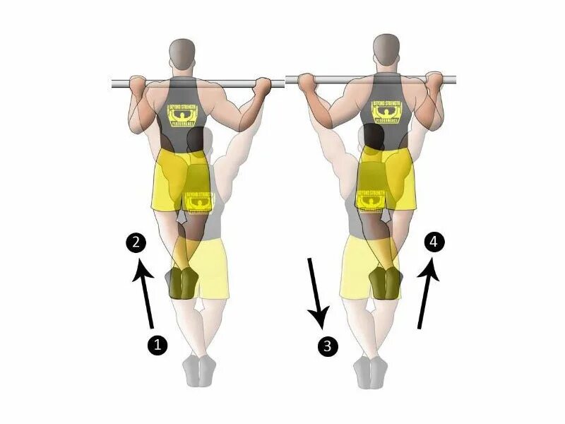 Подтягивания хваты группы мышц. Половинчатые подтягивания. Подтягивания в стороны. Подтягивания разными хватами