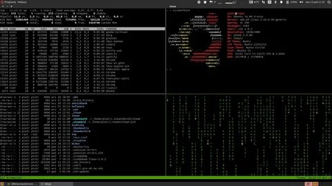 Основы linux