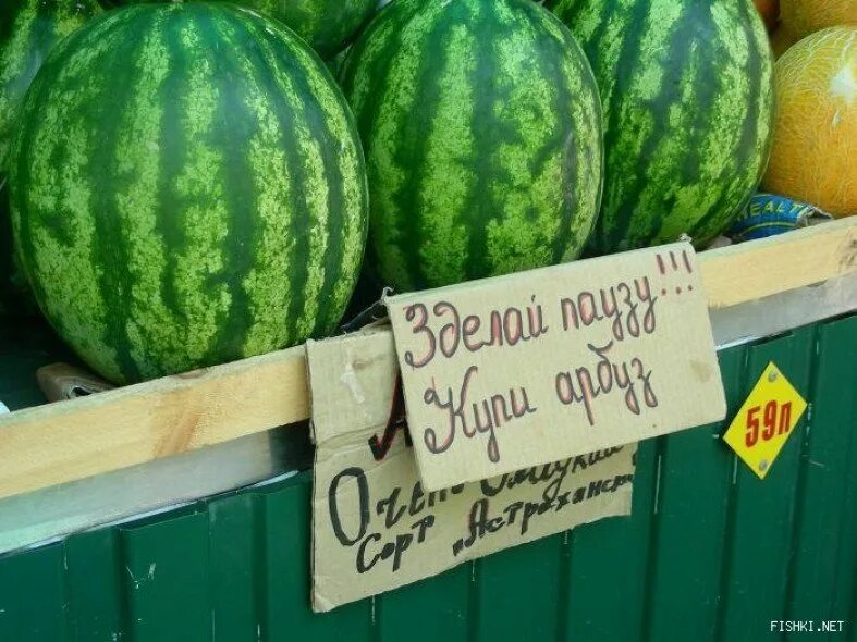 Реклама арбуза. Дыни приколы. Боги маркетинга. Арбуз прикол. Дыня прикол.