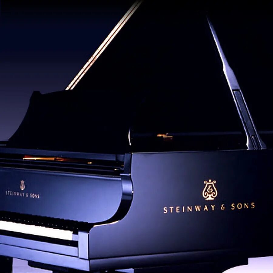 Steinway model d. Рояль марки стейнвей. Черное пианино. Пианино 3d. Рояль рельс.